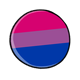 Bisexual Button