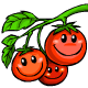 cheery-tomatoes.gif