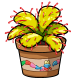 Geraptiku Sundew With Skritter Pot