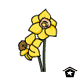 yellow-daffodil.gif