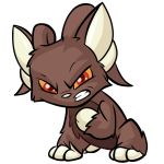 Brown Acara