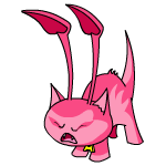 Pink Aisha