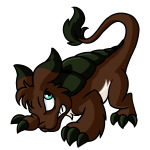 Brown Bori