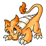 Orange Bori