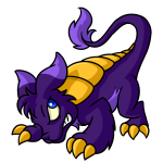Purple Bori