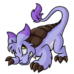 Purple Bori