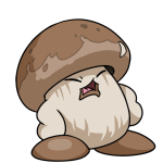 Mushroom Chia