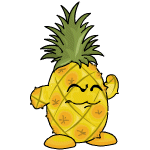 Pineapple Chia