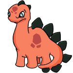 Orange Chomby