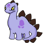 Purple Chomby