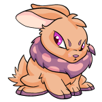 Orange Cybunny