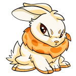 Orange Cybunny