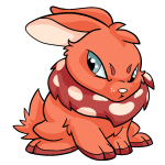 Orange Cybunny