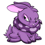 Purple Cybunny