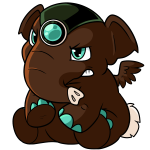 Brown Elephante