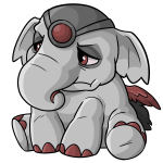 Grey Elephante