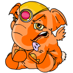 Orange Elephante