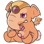 Orange Elephante