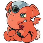 Orange Elephante