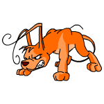 Orange Gelert