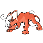 Orange Gelert