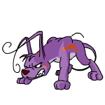 Purple Gelert