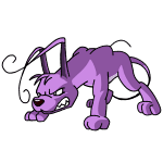 Purple Gelert