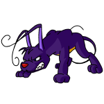 Purple Gelert