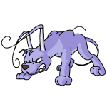 Purple Gelert