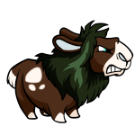Brown Gnorbu