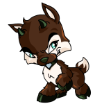 Brown Ixi