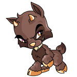 Brown Ixi