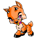 Orange Ixi