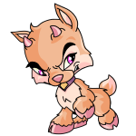 Orange Ixi