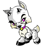 White Ixi