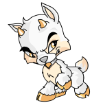 White Ixi