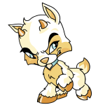 White Ixi
