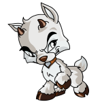 White Ixi