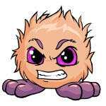 Orange Jubjub