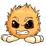 Orange Jubjub