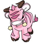 Pink Kau