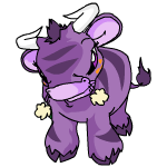 Purple Kau