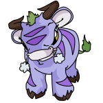 Purple Kau