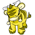 Yellow Kau