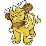 Yellow Kau