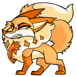 Orange Kitzen