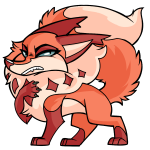 Orange Kitzen