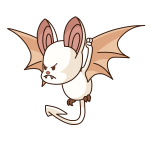 Cream Korbat