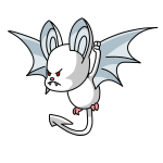 White Korbat