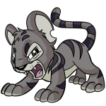 Ashen Kougra